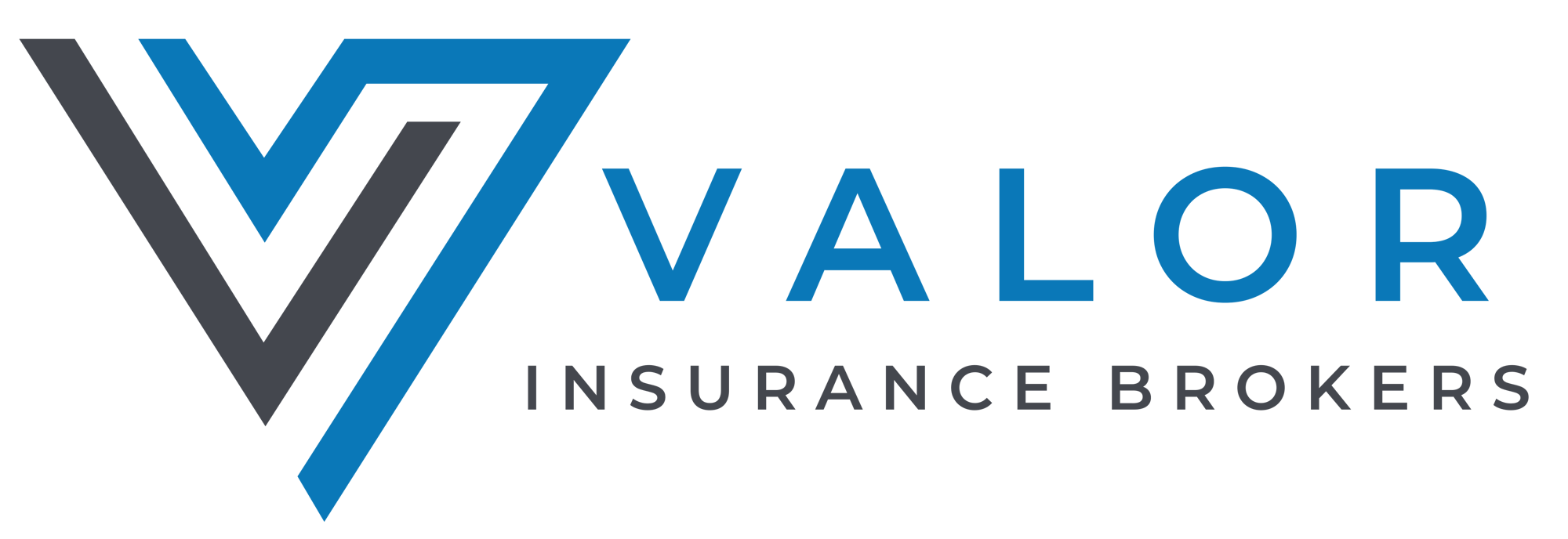 Valor Logo Landscape